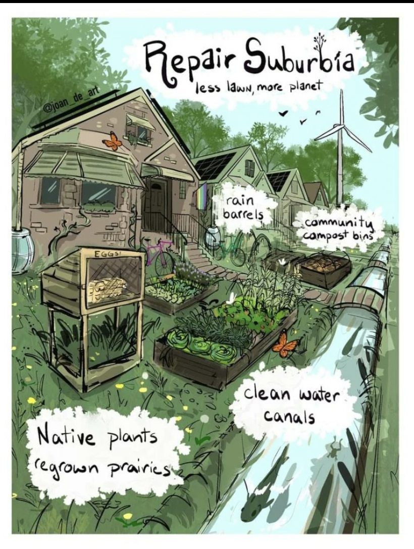 This meme is a humorous illustration of a suburban neighborhood that has been transformed into a sustainable, eco-friendly community. The text "Repair Suburbia" is written at the top, and the image shows a series of houses with solar panels, wind turbines, and a community garden. The text "Less lawn, more planet" is written at the bottom, and the image also includes labels such as "rain barrels", "community compost bins", "clean water canals", and "native plants" to describe the various sustainable features of the community.
